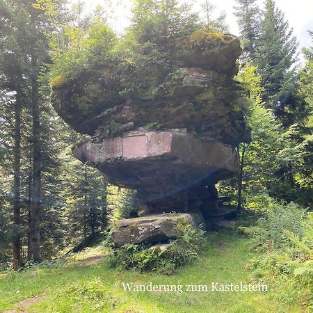 3- 2-1 - Raum - Ferienappartements Dieter Hoffmann Freudenstadt-Kniebis Beim Nationalpark Exteriér fotografie