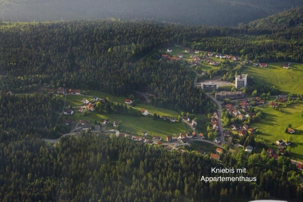 3- 2-1 - Raum - Ferienappartements Dieter Hoffmann Freudenstadt-Kniebis Beim Nationalpark Exteriér fotografie