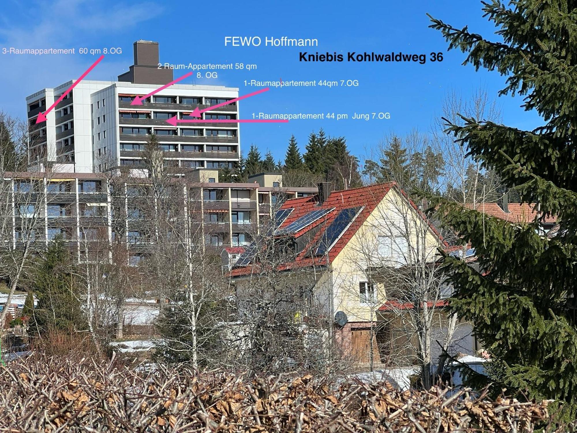 3- 2-1 - Raum - Ferienappartements Dieter Hoffmann Freudenstadt-Kniebis Beim Nationalpark Exteriér fotografie