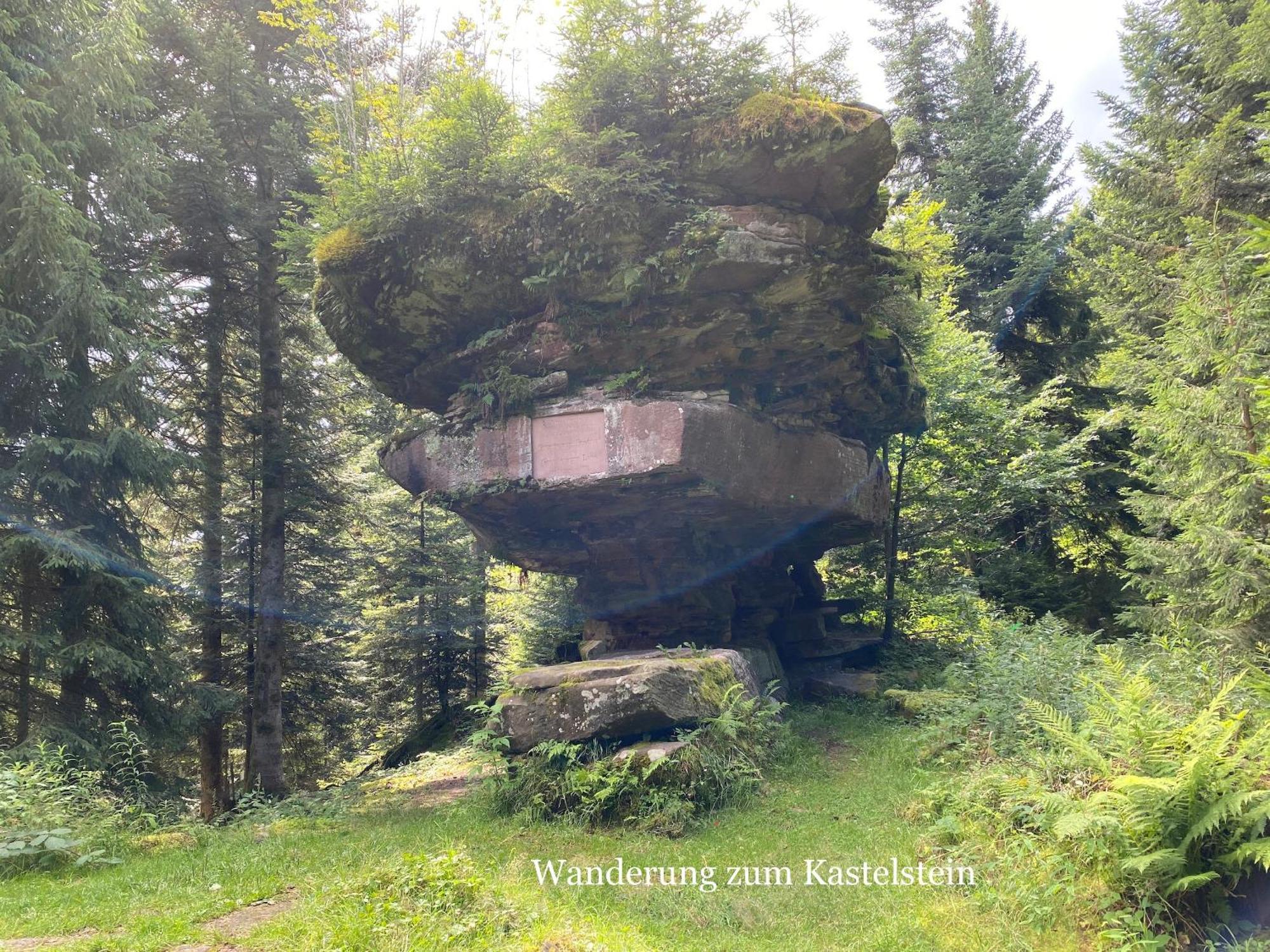 3- 2-1 - Raum - Ferienappartements Dieter Hoffmann Freudenstadt-Kniebis Beim Nationalpark Exteriér fotografie