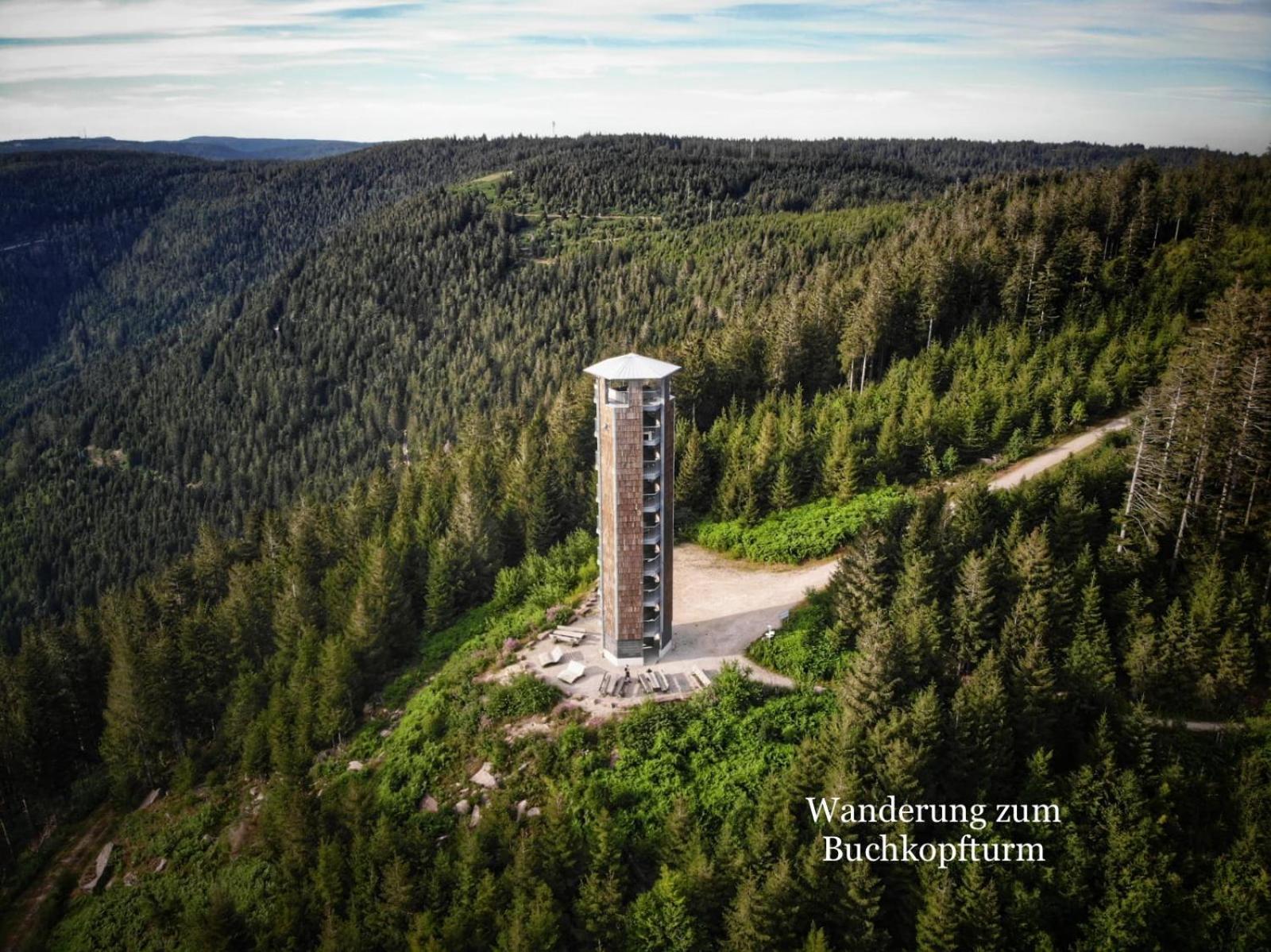 3- 2-1 - Raum - Ferienappartements Dieter Hoffmann Freudenstadt-Kniebis Beim Nationalpark Exteriér fotografie