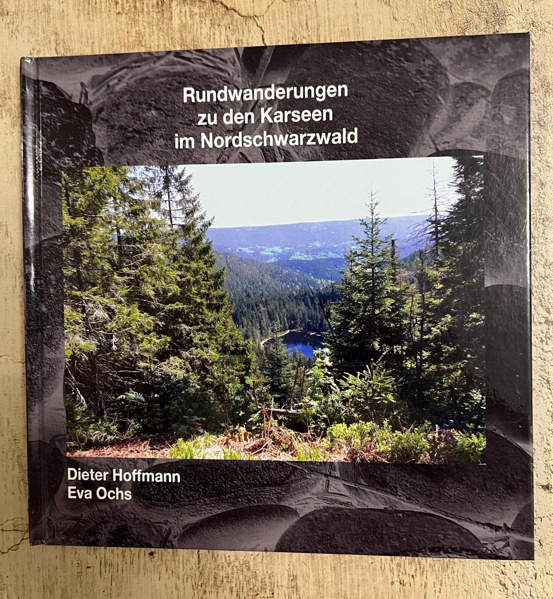 3- 2-1 - Raum - Ferienappartements Dieter Hoffmann Freudenstadt-Kniebis Beim Nationalpark Exteriér fotografie