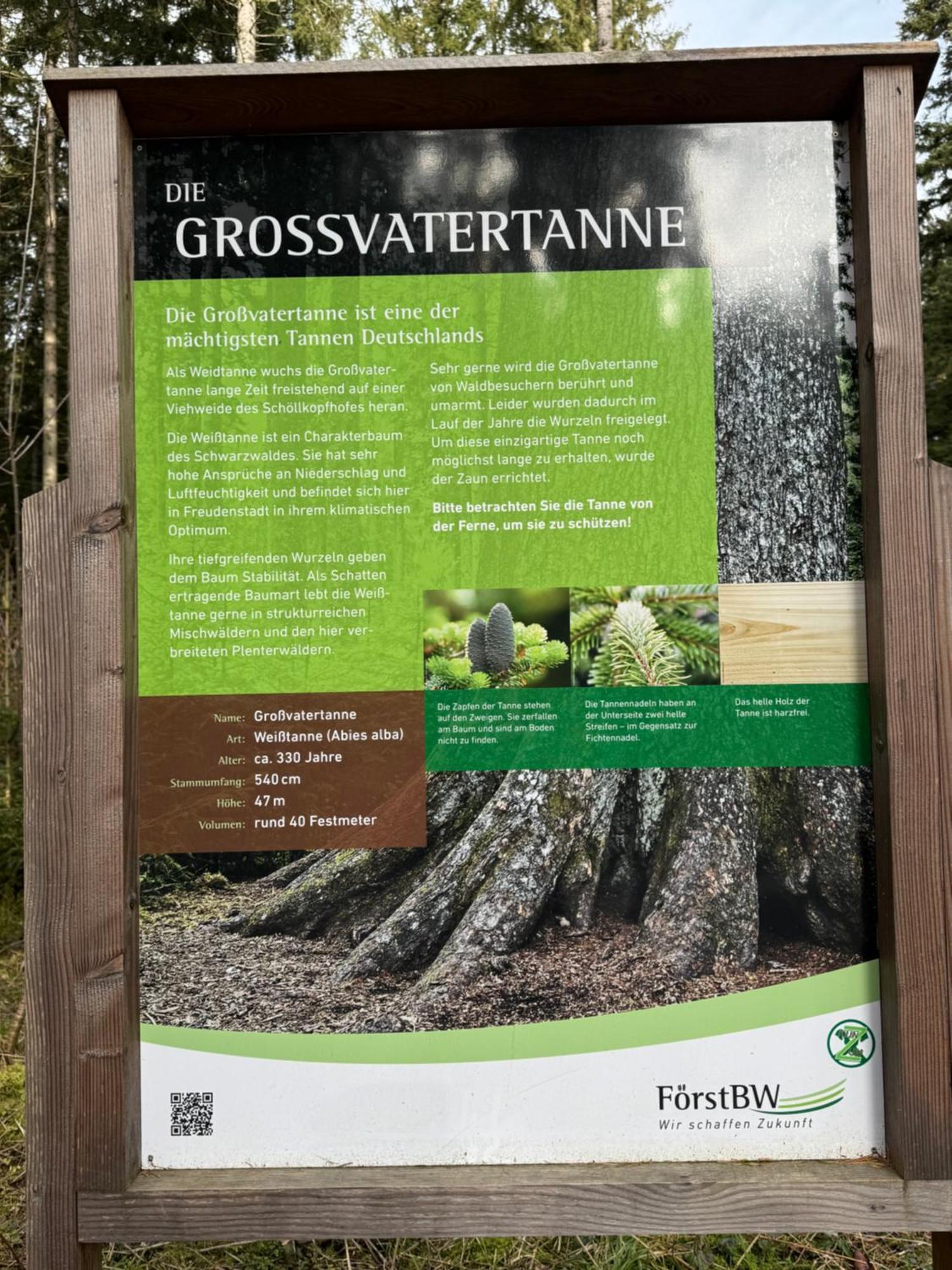 3- 2-1 - Raum - Ferienappartements Dieter Hoffmann Freudenstadt-Kniebis Beim Nationalpark Exteriér fotografie